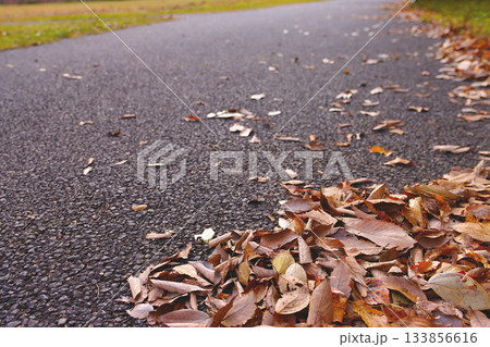 道路に落ちた枯れ葉 133856616