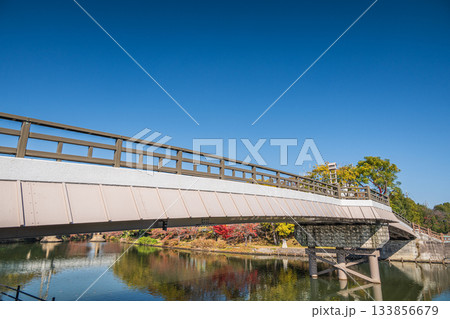 伏見みなと橋　京都市伏見区 133856679