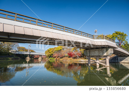 伏見みなと橋 京都市伏見区 伏見みなと橋 京都市伏見区 133856680