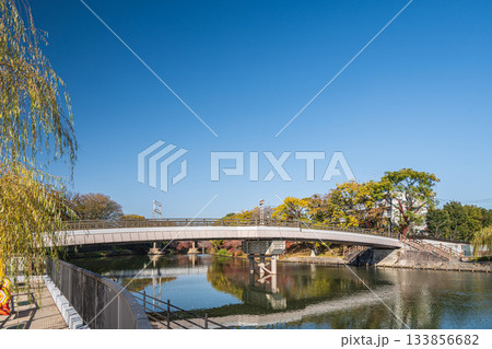 伏見みなと橋　京都市伏見区 133856682