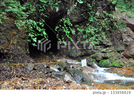 乙女鉱山の坑道から流れ出す水 133856819
