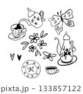Doodle vector drawings of a lovely tea party with a butterfly, vintage teapots and cups. Hearts and flowers. 133857122