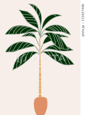 Illustration of a tall palm tree with a textured trunk and green fronds on beige. Illustration of a tall palm tree with a textured trunk and green fronds on beige. 133857486