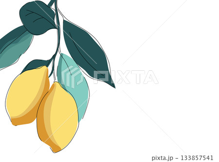 Abstract yellow lemons with black outlines and dark green leaves on a beige background. Abstract yellow lemons with black outlines and dark green leaves on a beige background. 133857541