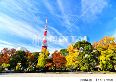 都立芝公園4号地広場より東京プリンスホテル方面を望む(東京都港区)【2025.11】 133857606