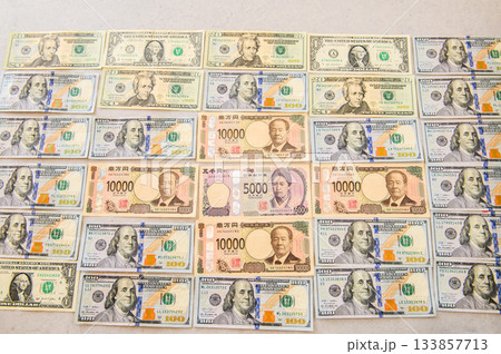 100・20・1ドル札・1万円札に囲まれた5000円札　女性リーダー　真上 133857713