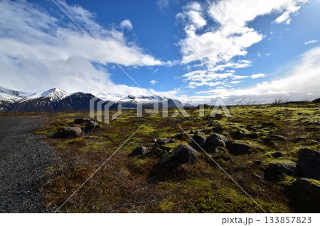 苔むした溶岩原と雪山・アイスランドの大自然が広がる風景 133857823