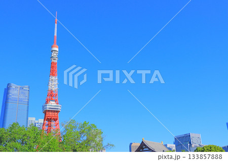 東京都港区、東京タワーと新緑の風景 133857888