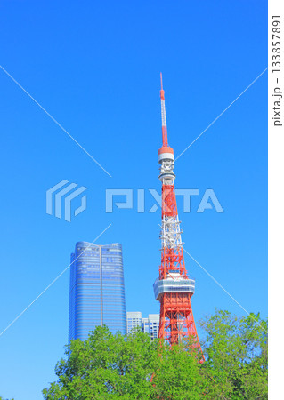 東京都港区、東京タワーと新緑の風景 133857891