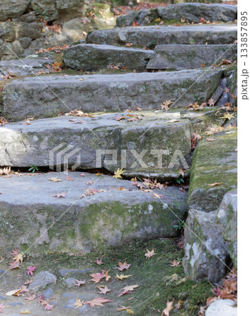 秋の終わり、清水寺本坊庭園への落ち葉の石段 133857895