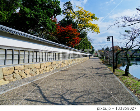 彦根城旧藩主下屋敷玄宮楽々園風景 133858027