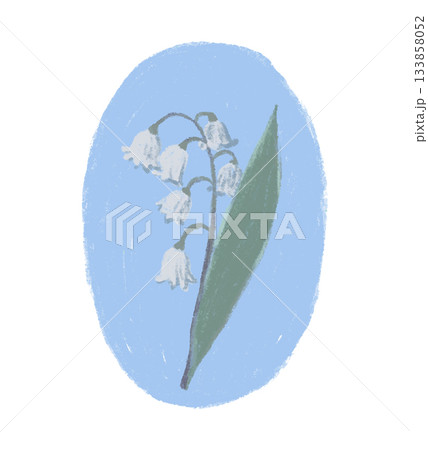Minimalistic pencil drawing of a lily of the valley soft spring colors 133858052