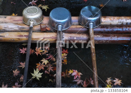 モミジが浮かぶ晩秋の手水舎　大雄山最乗寺 133858104