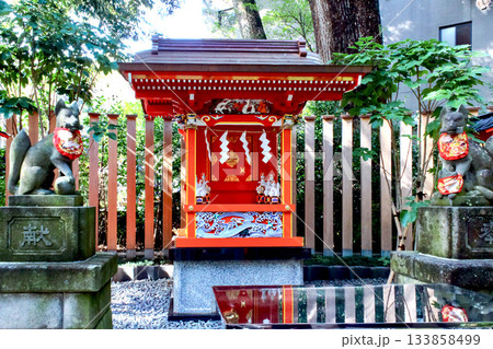 【静岡】冬の熱海　来宮神社の境内の來宮稲荷社 133858499