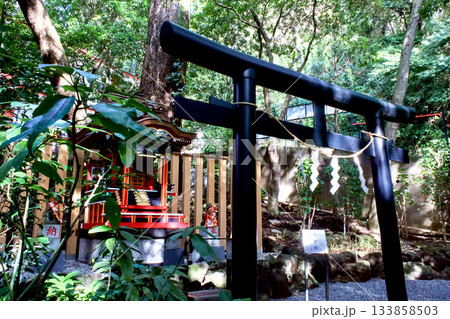 【静岡】冬の熱海　来宮神社の境内の三峯神社 133858503