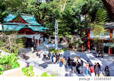 【静岡】冬の熱海 たくさんの参拝客が訪れる来宮神社 【静岡】冬の熱海 たくさんの参拝客が訪れる来宮神社 133858507