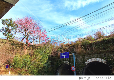 【静岡】冬の熱海　来宮神社前の高架 133858512