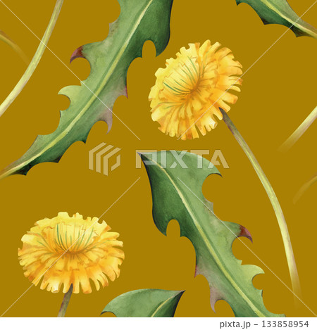Seamless pattern with yellow wildflowers, painted in natural colors. Watercolor illustration with dandelion flowers and green leaves on a mustard background. Floral background for wallpaper, textiles Seamless pattern with yellow wildflowers, painted in natural colors. Watercolor illustration with dandelion flowers and green leaves on a mustard background. Floral background for wallpaper, textiles 133858954