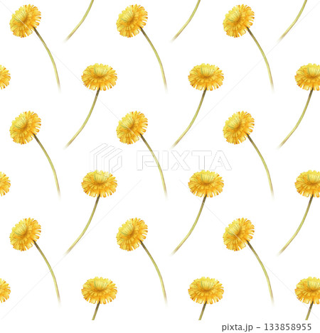 Watercolor seamless pattern with yellow dandelion flowers on a long stem on a white background. A botanical floral template for wallpaper, packaging, textiles and a summer theme. Watercolor seamless pattern with yellow dandelion flowers on a long stem on a white background. A botanical floral template for wallpaper, packaging, textiles and a summer theme. 133858955