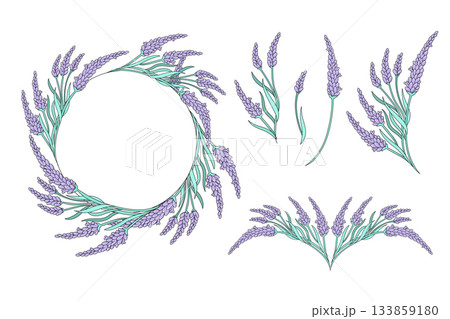 Lavender wreath and floral elements. Hand-drawn botanical illustration for invitations, cards, packaging and logo design. Lavender wreath and floral elements. Hand-drawn botanical illustration for invitations, cards, packaging and logo design. 133859180