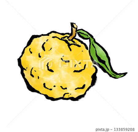 冬の果物の柚子 133859208