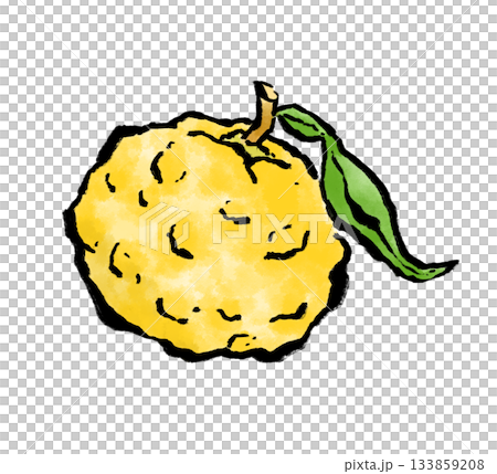 冬の果物の柚子 133859208