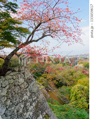彦根城本丸から彦根市街風景 133859617