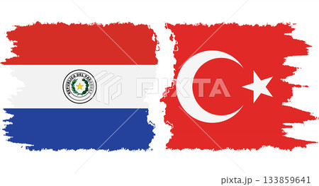 Turkey and Paraguay grunge flags connection vector 133859641