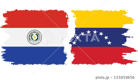 Venezuela and Paraguay grunge flags connection vector Venezuela and Paraguay grunge flags connection vector 133859656