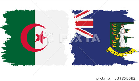 British Virgin Islands and Algeria grunge flags connection vector British Virgin Islands and Algeria grunge flags connection vector 133859692
