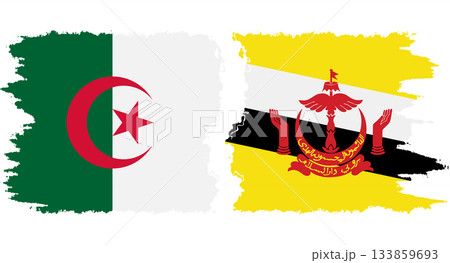 Brunei and Algeria grunge flags connection vector 133859693