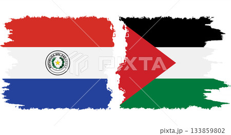 Palestine and Paraguay grunge flags connection vector 133859802