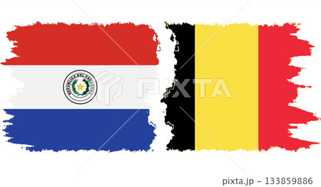Belgium and Paraguay grunge flags connection vector 133859886