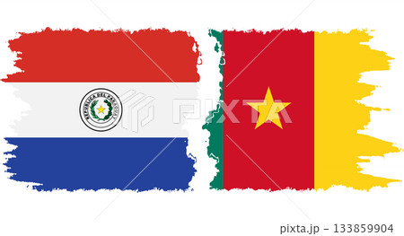 Cameroon and Paraguay grunge flags connection vector 133859904