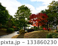 紅葉のある風景 133860230