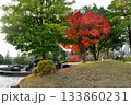 紅葉のある公園 133860231