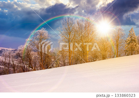 trees in hoarfrost on snow covered meadow at sunset. beautiful mountainous countryside landscape in evening light. cold winter atmosphere. leadership corporate wallpaper under the rainbow trees in hoarfrost on snow covered meadow at sunset. beautiful mountainous countryside landscape in evening light. cold winter atmosphere. leadership corporate wallpaper under the rainbow 133860323