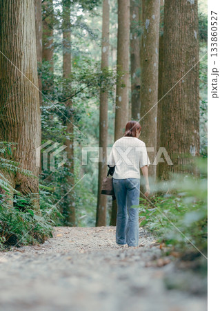 聖地巡礼で杉林を歩く女性 133860527