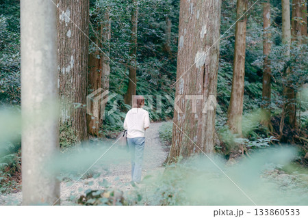 聖地巡礼で杉林を歩く女性 聖地巡礼で杉林を歩く女性 133860533