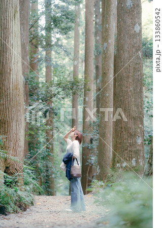 聖地巡礼で杉林を歩く女性 133860542