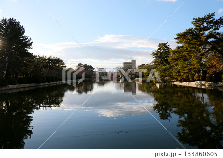 三重県桑名市_九華公園15_2024年12月 133860605