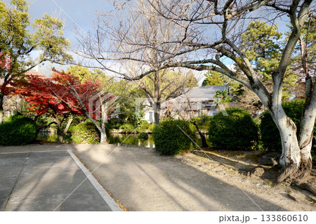 三重県桑名市_九華公園紅葉2_2024年12月 三重県桑名市_九華公園紅葉2_2024年12月 133860610