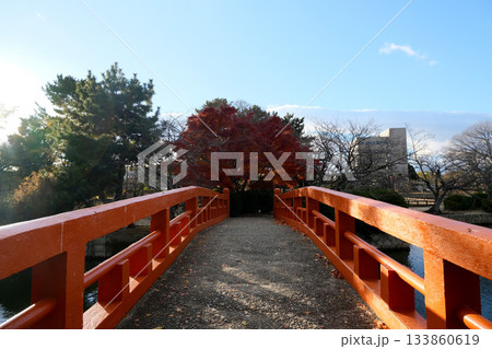 三重県桑名市_九華公園紅葉11_2024年12月 133860619
