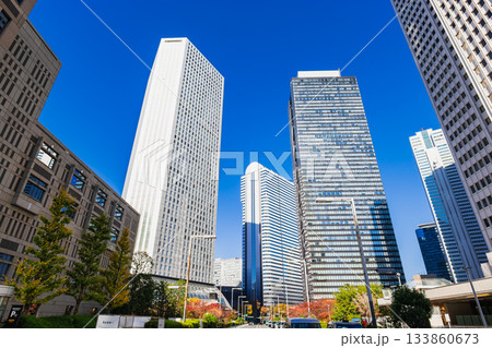 東京　新宿副都心の高層ビル群 133860673