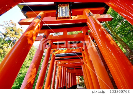 京都府 伏見稲荷大社 千本鳥居(月日之宮本宮付近) 京都市伏見区深草藪之内町 2022 年 2月 京都府 伏見稲荷大社 千本鳥居(月日之宮本宮付近) 京都市伏見区深草藪之内町 2022 年 2月 133860768