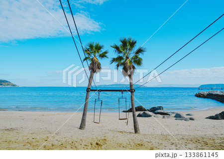 海辺のブランコを満喫する 133861145