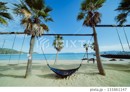 海辺のブランコを満喫する 海辺のブランコを満喫する 133861147