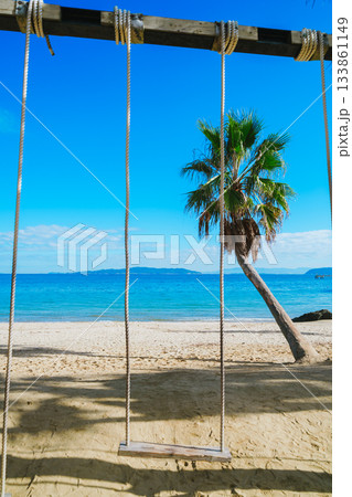 海辺のブランコを満喫する 133861149