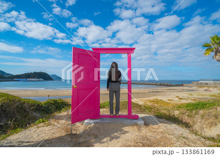 海辺のブランコを満喫する 133861169