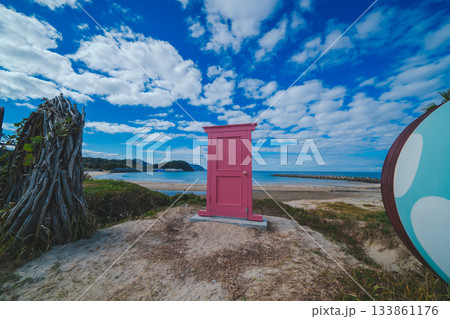 海辺のブランコを満喫する 133861176